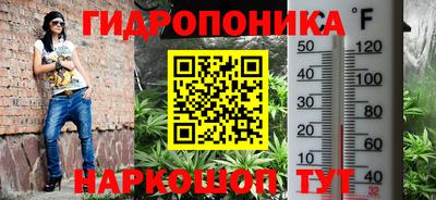 spice Кулебаки