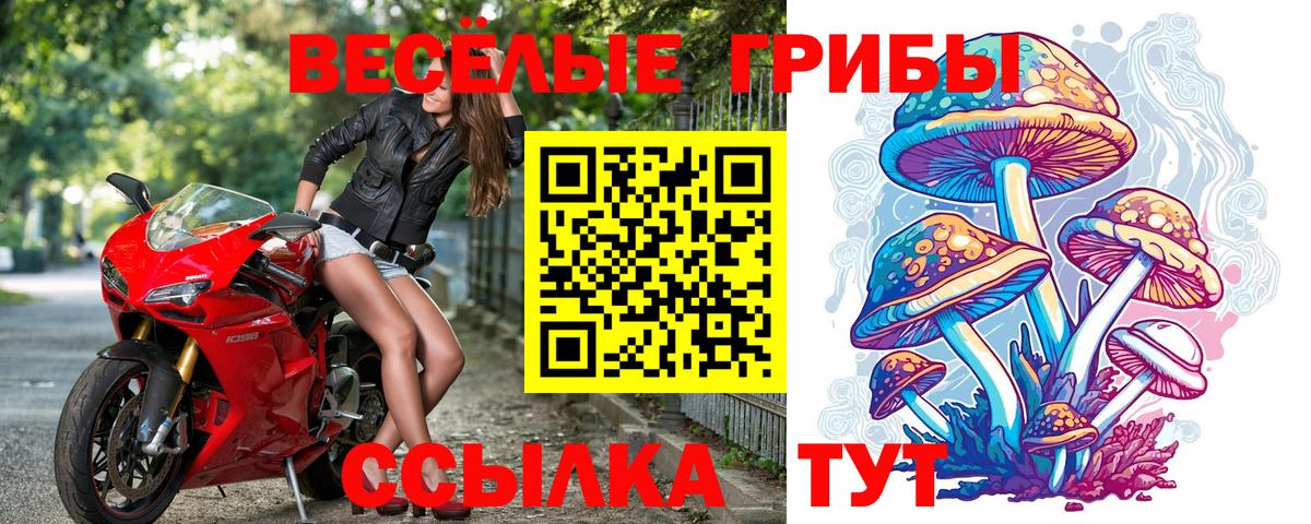 Галлюциногенные грибы Magic Shrooms  Вход с VPN  Заринск  Псилоцибиновые грибы Cubensis 