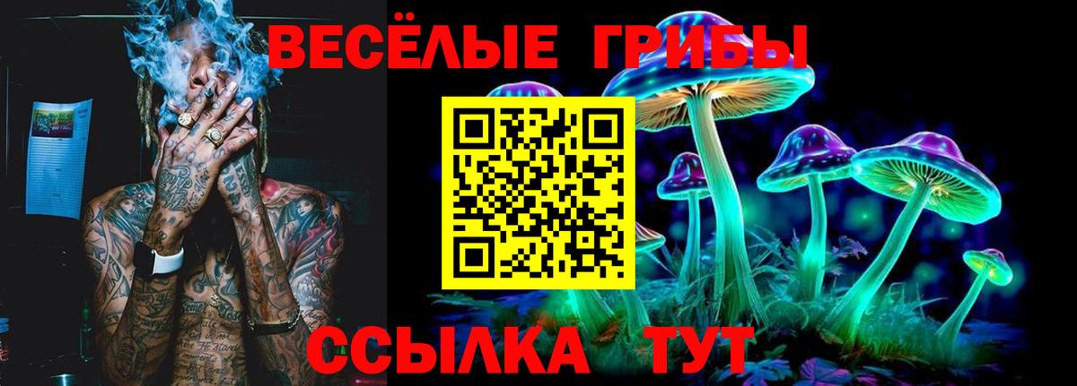 Псилоцибиновые грибы MAGIC MUSHROOMS Заринск